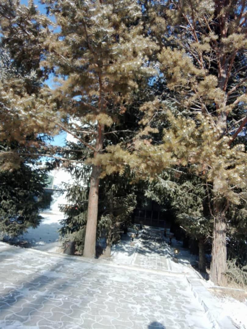 Aska Hotel Naryn 외부 사진